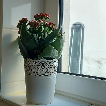 Studio Apartment Lissabon